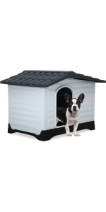 dog house