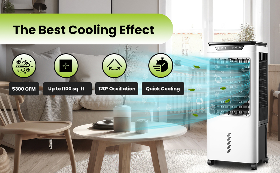 Powerful Evaporative Cooler in Living Room